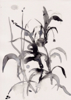 http://www.soerenhiob.com/files/gimgs/th-99_4  9.jpg